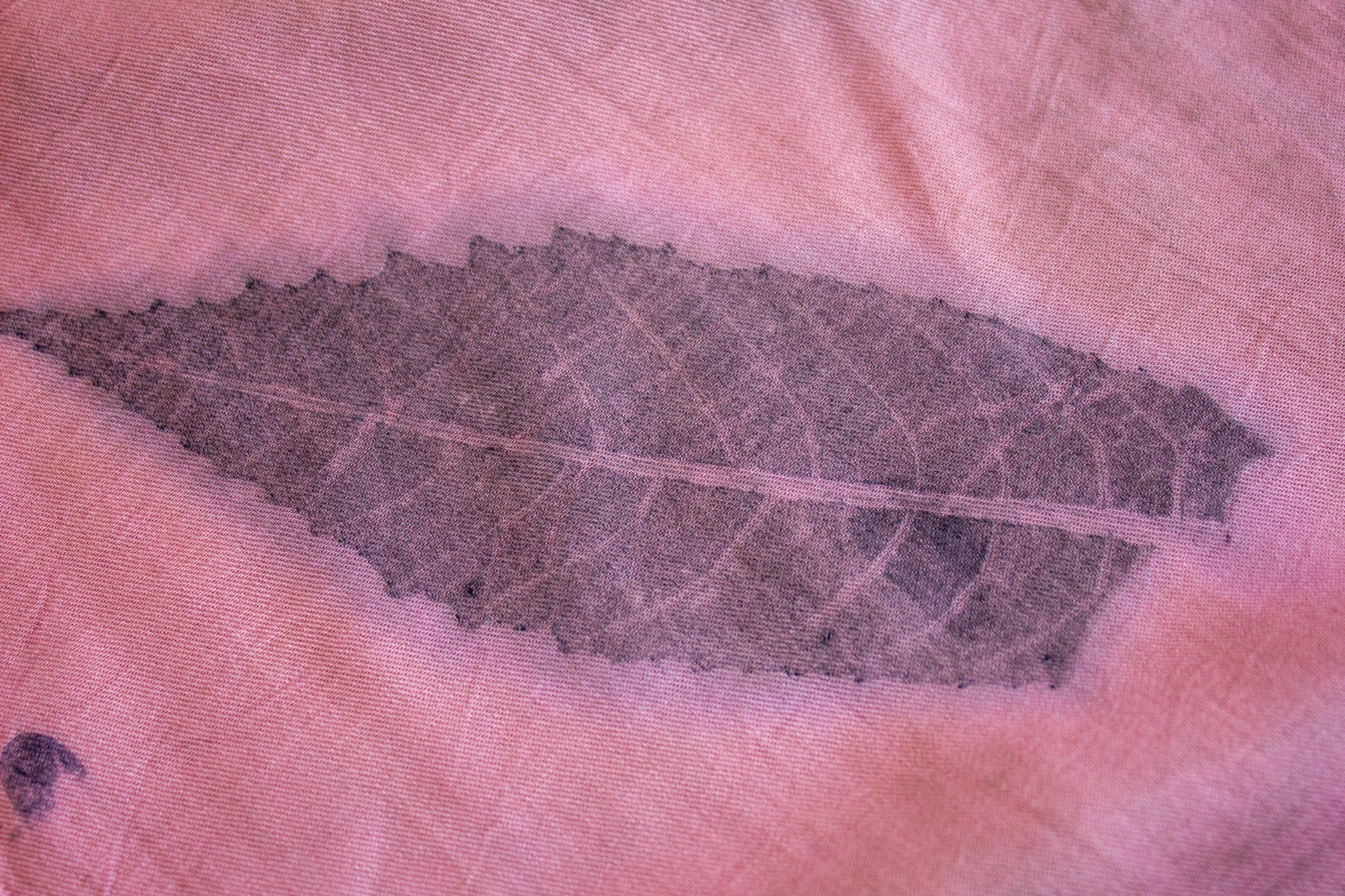 Dark Pink Cotton Scarf Botanical Print