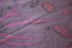 Purple And Pink Cotton Scarf Ecoprinted With Real Leaves