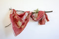 Red Cotton Scarf Ecoprinted With Real Leaves