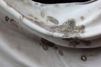 White Guava Eco Printed Silk Scarf